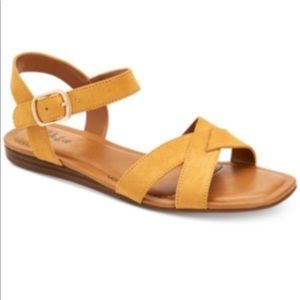 Brand: Style&Co Antoniaf Yellow MC